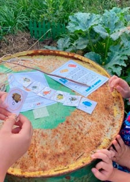 Вокруг света за 1 день. Квест