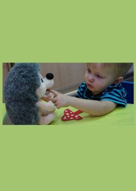 Кружок Раннее развитие (2 занятия в неделю) детского центра Школа Радость